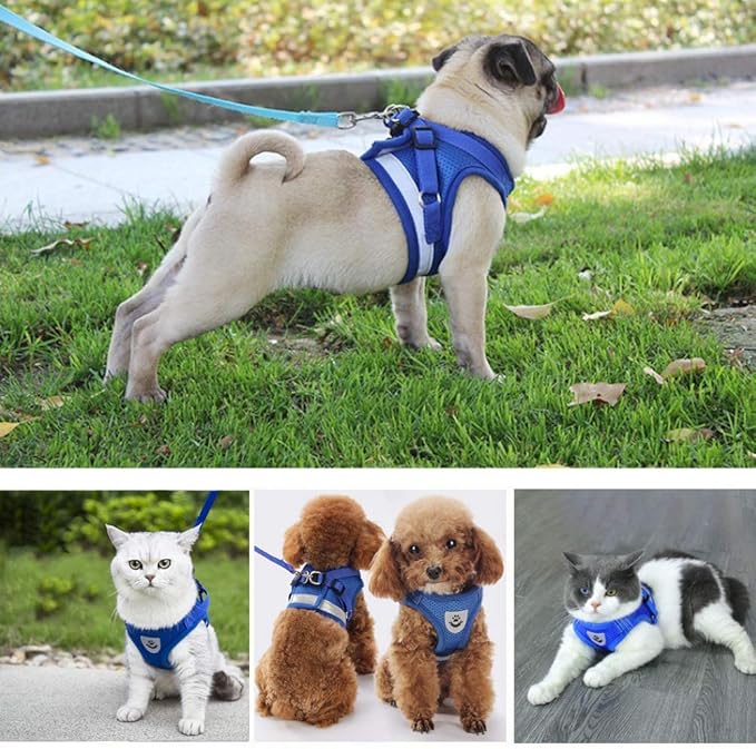 FEimaX Dog Harness and Leash Set for Walking, Soft Mesh Adjustable Easy Control Lightweight Cat Vest Harnesses with Reflective Strips, Escape Proof Small Dogs Cats Vests (Blue, Large)