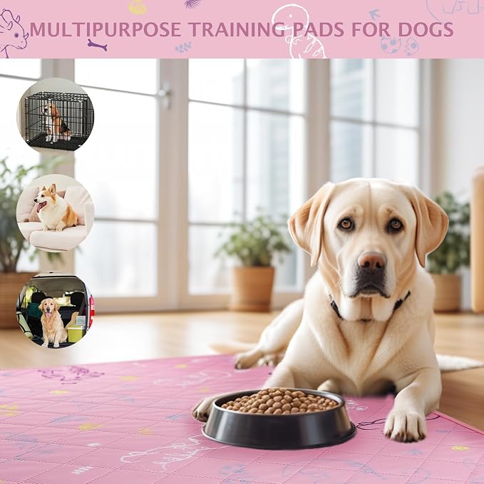 IEUUMLER Washable Pee Pads for Dogs, 2 Pack Non-Slip & Waterproof Pack Whelping Pad, Reusable Washable Puppy Potty Training Pad with Fast Absorbent for Playpen EU007 (Pink Dinosaur, 48"X30"-2pcs)