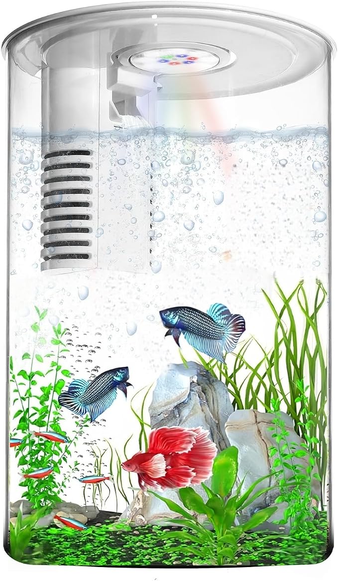 Desktop Fish Tank 3 Gallon Self-Cleaning, Nano Aquarium Goldfish Tank Starter Kit with LED Light & Filter, 360 View for Small Fish, Kids Room & Home Decor (17Color)