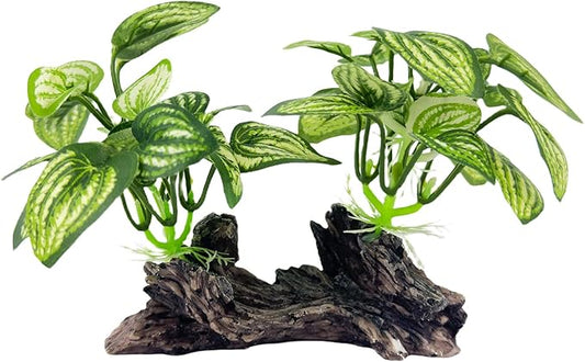Aquarium Driftwood, Natural Fish Tank Decor for Betta, Reptile Hideout & Terrarium Ornament, Type-D