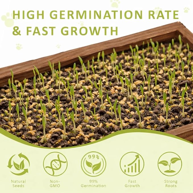 Cat Grass Kit for Indoor Cats with Wooden Planter - 5 Pack Cat Grass & 5 Coconut Soil, Complete Planting Tools, Water Sprayer, Scissors, Bonus Cat Gifts - Natural Wheat Grass for Hairball Control