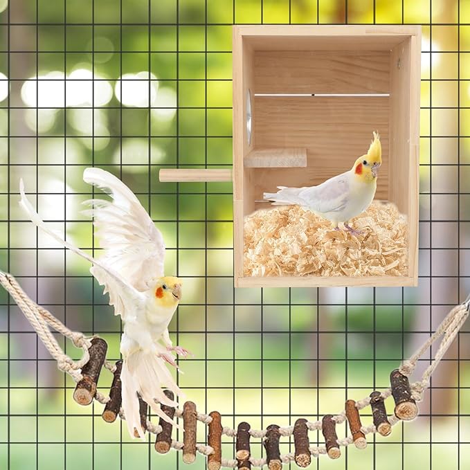 Parakeet Nesting Box Transparent Design, Natural Wood Bird Nest Breeding Box with Perch, Acrylic Bird House for Cage Bird Nesting Box for Small Cockatiel Lovebirds Finch Parrot Canary S