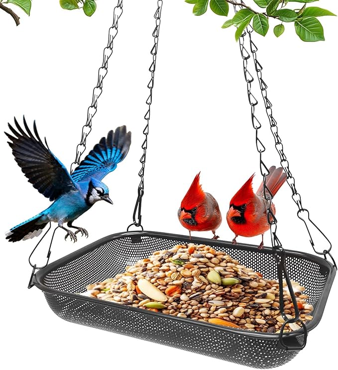 Hanging Bird Feeder for Outdoors – 12 x 8 in Rectangular Platform Bird Feeder, Metal Mesh Seed Tray for Wild Birds, Black