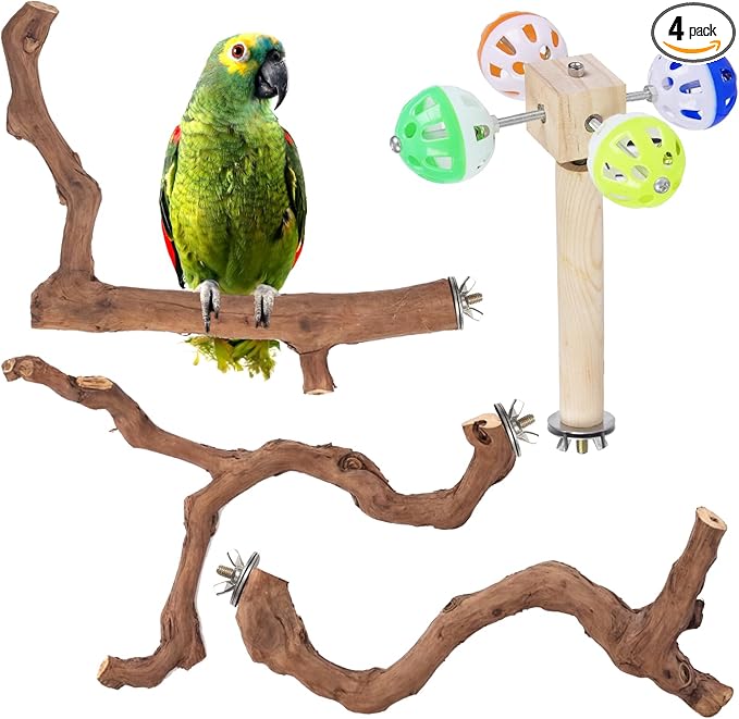 4-Piece Bird Perch Set with Rotating Ball Stand - Natural Wood Bird Gym & Playground for Parrots, Cockatiels, Budgies