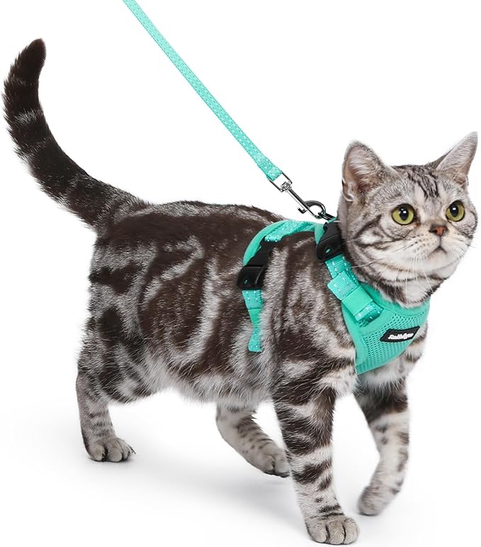rabbitgoo Cat Harness and Leash, Escape Proof Vest with 3 Adjustable Buckles, Soft Comfortable Kitten Harness, Easy to Wear, Reflective for Safe Outdoor Walking, Small, Green