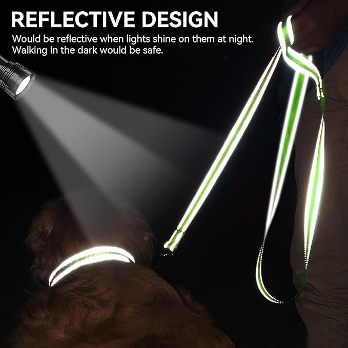 Joytale Dog Leash, 5 FT Double-Sided Reflective, Padded Handle Nylon Heavy Duty Leashes for Medium & Large Dogs Walking, Green
