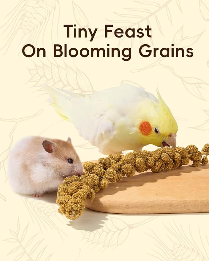 BUCATSTATE Natural Hamster Bedding - Flowers & Herbs & Sprays for Cage Habitat Decor - Treat Cereal Grain for Dwarf Syrian Gerbils, Mice, Rat, Forage, Enrichment (60PCS)