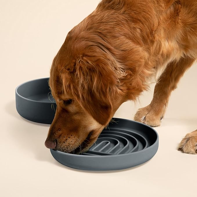 Should We Go? Slow Feeder for Dogs & Puppies, The Slowdown Bowl Silicone Slow Eating, Modern Lick Mat Design, Reduces Gulping, Fits 2.5 Cups 9.5” Across x 1.5” Tall, Mealtime Challenge, Large-Charcoal