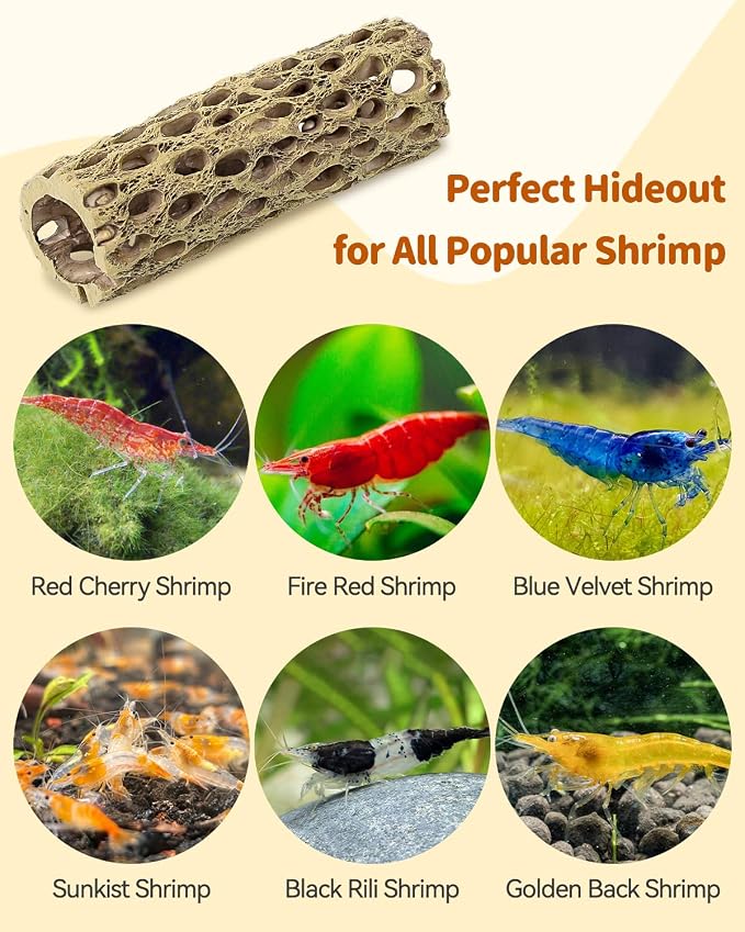 Uniclife Shrimp Hides for Aquarium, Shrimp Cave, Realistic Resin Aquarium Hollow Cholla Wood Decorations, Shrimp Hideout Tank Accessories for Fish Tank Decor, Hiding & Resting,1pcs