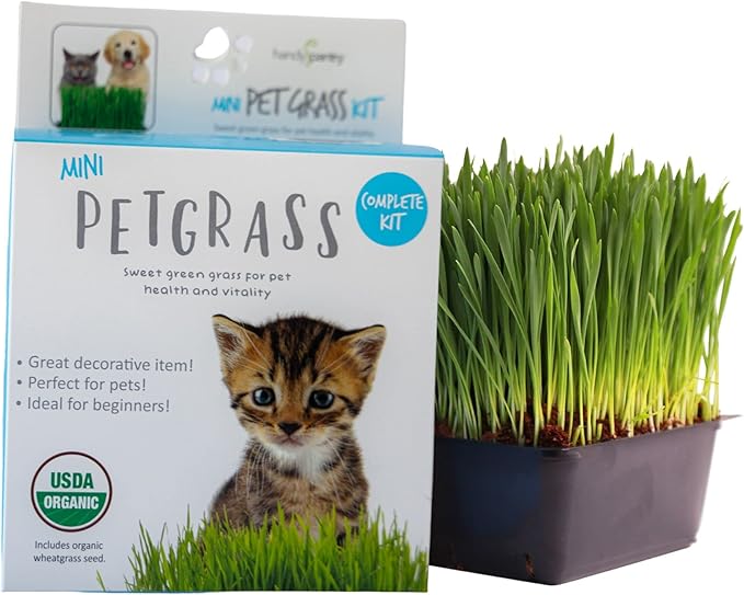 Handy Pantry Organic Cat Grass Kit - Includes 1 Tray, 1 Soil Puck, and Non GMO Wheatgrass Seed - A Healthy Treat for Cats, Dogs, Rabbits, and More
