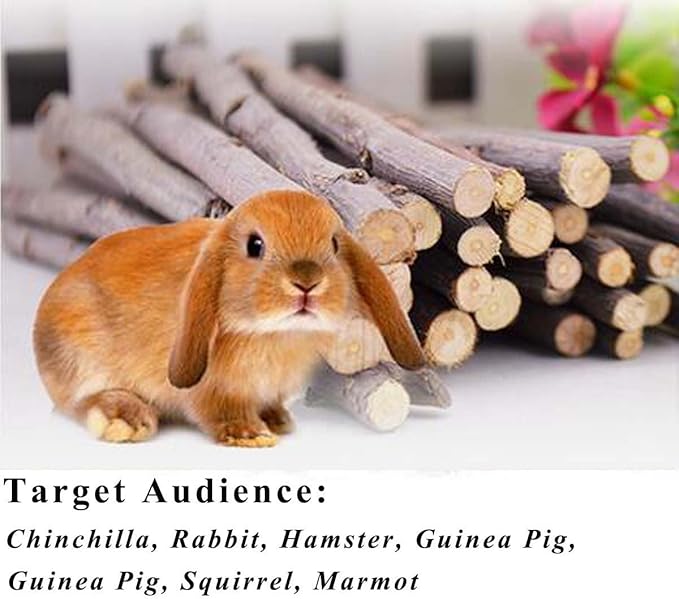 Organic Apple Sticks for Rabbits Wood Tree Branches Pet Snacks Chew Toys Branch for Guinea Pigs Chinchilla Squirrel Bunny Hamster Small Animals Teeth Grinding
