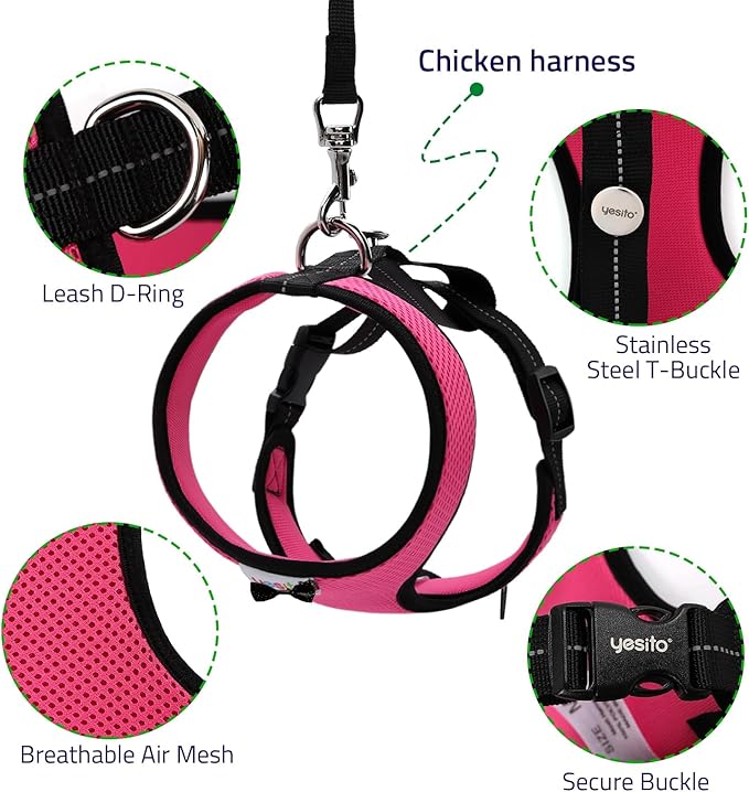 10 Pack Super Absorbent Pet Training Pads + 1 Set Durable Pet Leash & Harness | Leak-Proof Essentials for Indoor & Travel (S Size Red)