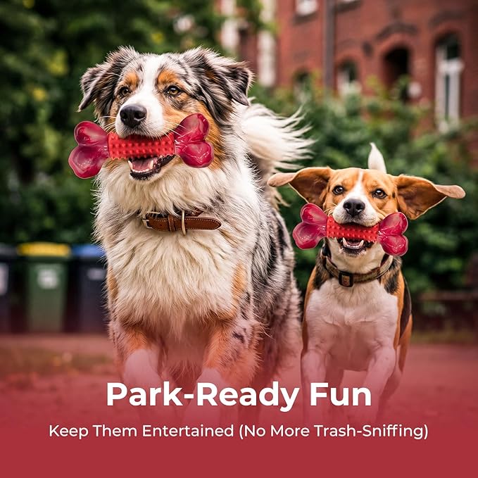 Apasiri 4-Pack Tough Dog Toys for Aggressive Chewers: Beef Flavored Long Lasting Dog Bones for Large Dogs, Heavy Duty Nylon & Rubber Dog Chew Toys to Keep Them Busy, Medium & Large Breed, Red