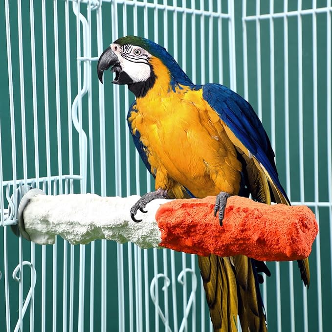 ULTECHNOVO Bird Perch Stand 6.88In Calcium Cuttlebone – High-Calcium Beak Grinding & Claw Trimming – for Parrot Cage for Cockatiel Conure African Grey