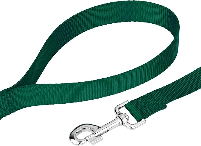 Country Brook Petz - Everyday Nylon Dog Collar and Leash - 10+ Cool Colors (1 Inch, Large, Green)