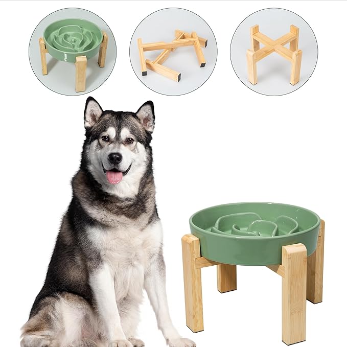 Elevated Slow Feeder Dog Bowl Large Breed, 8.8 Inch Ceramic Slow Eating Bowl with Bamboo Stand, Anti-Choking Raised Maze Design for Medium to Large Dogs, 3.2 Cup, Green