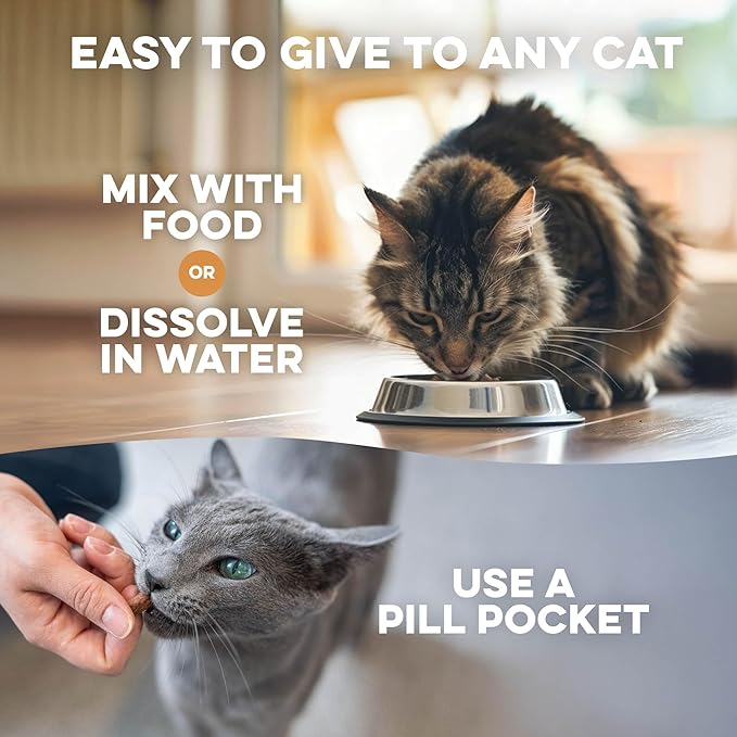 Hairball Treatment for Cats & Stomach Comfort Remedy – Supports Digestive Balance, Natural Elimination & Easy Passage of Hair – Gentle Daily Formula for Adult Cats & Seniors – 400 Tiny Pills