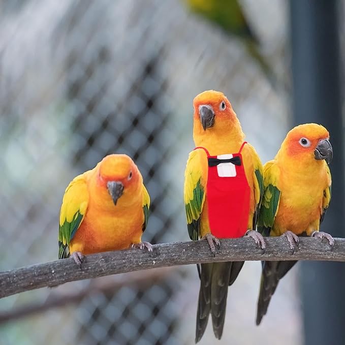 BESTonZON Parrot Diaper Bird Flight Suit Creative Pet Bird Diaper Clothing Small Size Red Pet Supply