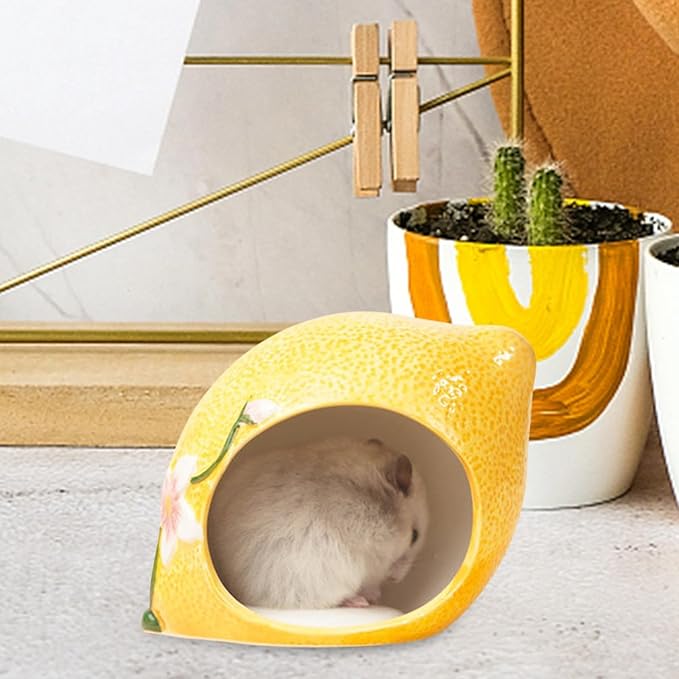 Ceramic Hide for Hamsters, Nest Structure for Small Pet Retreat, Large