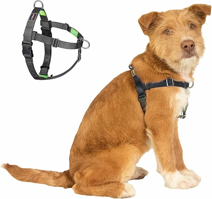 Freedom No Pull Dog Harness for Medium Dogs, Easy Walker, Anti Pulling with Two Stainless D-Rings, Comfortable, Sewn-in Instructions Tags for Easy Use (Black, M)