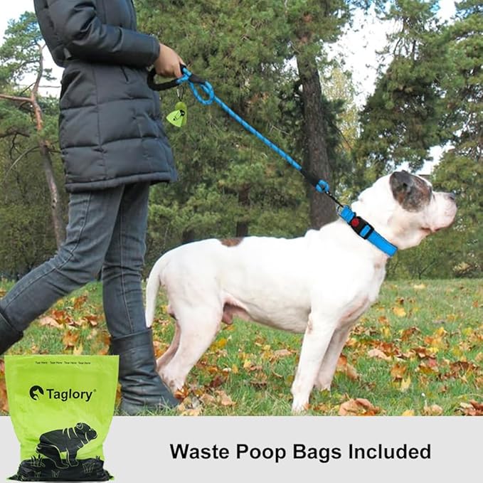 Taglory Rope Dog Leash 4 FT with Comfortable Padded Handle, Highly Reflective Threads Leash and Anti-Tangle Clip for Walking Medium Large Dogs, 1/2 inch, Blue