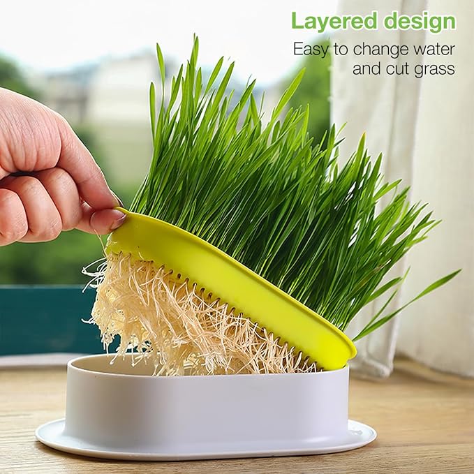 Tofficu Cat Grass Planter Set Hydroponic Indoor Planting Box with Large Water Reservoir Soilless Nursery Kit for Easy Cat Grass Growing Lightweight Durable 7.44X4.84X1.77 Inch Pot for Home Garden