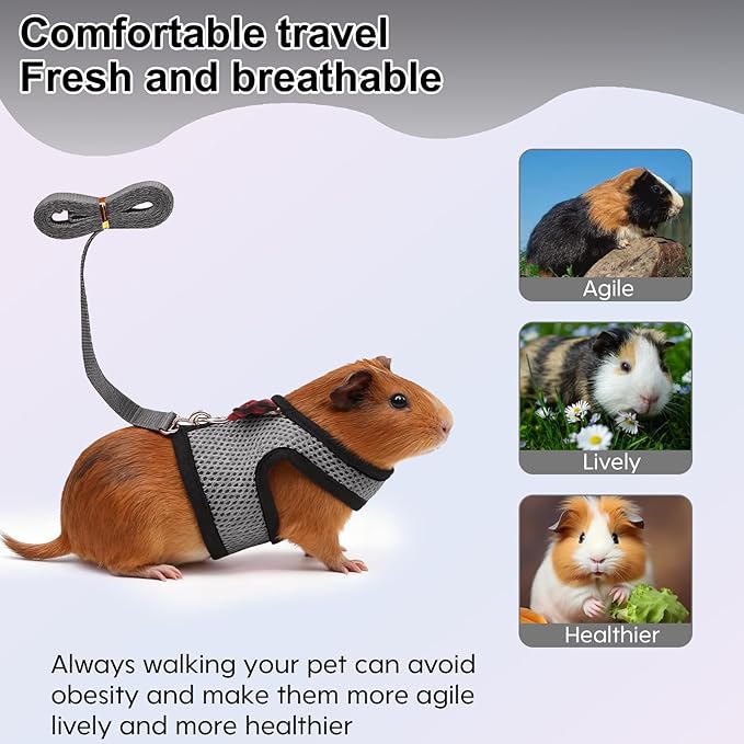 Guinea Pig Harness and Leash，2packs Guinea Pig Clothes Baby Ferret Rats Hamster Soft Mesh Harness Leash for Decoration，Hamster Harness can be Adjusted to Any Size. (Red + Grey)