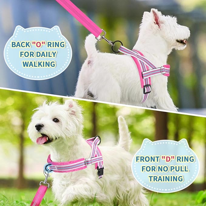 Lukovee No Pull Dog Harness and Leash Set, Soft Padded Small Dog Harness, Neck & Chest Adjustable Reflective Vest Puppy Harness with 4ft Lightweight Anti-Twist Dog Leash for Small Dogs (XXS, Fuschia)