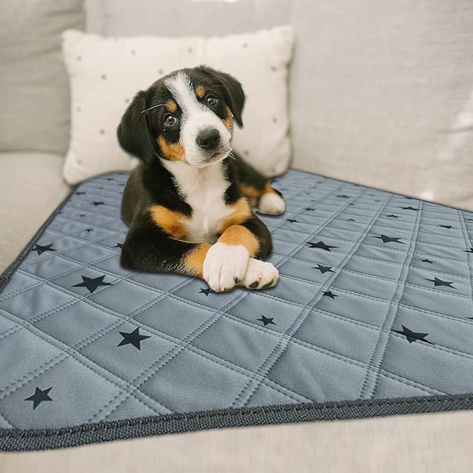 RIOUSSI Washable Pee Pads for Dogs, Reusable, Absorbent, Leakproof, Non Slip Pet Puppy Pads for Potty Training. Gray Stars, 36x72 Inch(2pack)