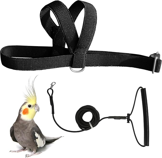 Pet Parrot Bird Harness Leash Adjustable Bird Flying Harness Traction Rope with Cute Wing for Parrots Pigeons Budgerigar Lovebird Cockatiel Mynah Outdoor Training Toy (Black,S)