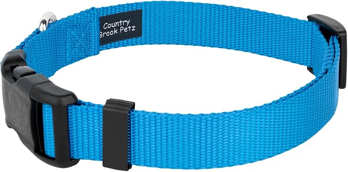 Country Brook Petz - Deluxe Nylon Dog Collar and Leash - 10+ Cool Colors (1 Inch, Extra Large, Ice Blue)