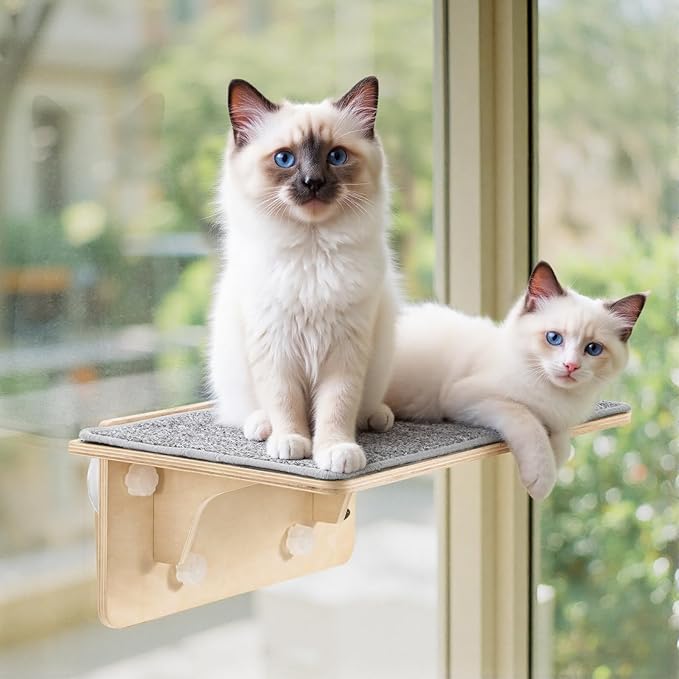 Pecute 2-in-1 Large Cat Window Perch & Wall Shelves, Cat Hammock Window with Solid Wood, Strong Suction Cup, Washable Cover Mat, Window seat Indoor, Cats Perch Bed for Birds Watching Inside, 21"x11"