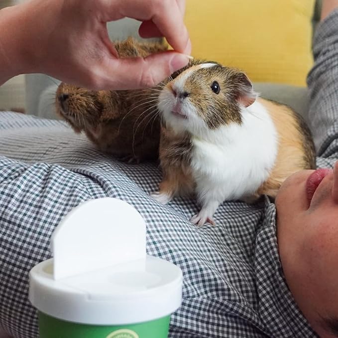 GuineaDad Organic Treat Sampler - Guinea Pig Herbal Treats - Guinea Pig Food in 6 Flavors - 6 Pack - Guinea Pig Treats Help with Bonding - High in Nutrition, No Preservatives, No Additives