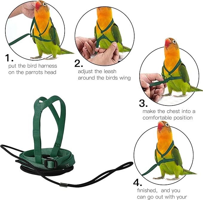 2 pcs Pet Parrot Bird Harness and Leash, Adjustable Training Design Anti-Bite, Outdoor Flying Training Rope Kit for Bird Parrots Fits Birds Chest Between35-62cm /13.78-24.41inch - L (Green