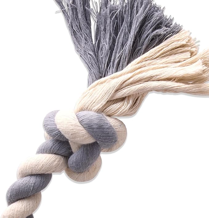 Pet Passion Natural Rubber Tire and Organic Cotton Rope Pull and Chew Dog Toy for All Pet Breeds, Gray, Large