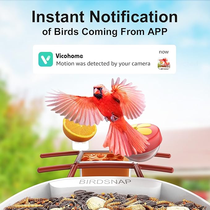 birdsnap® PAV-Bird Feeder with Camera,2K HD with 64GB Card, AI Identify Smart Bird House Cam Solar Panel,Live Stream,Motion Detection,Auto Record Video for Backyard Outdoors,Ideal Gift for Bird Lover
