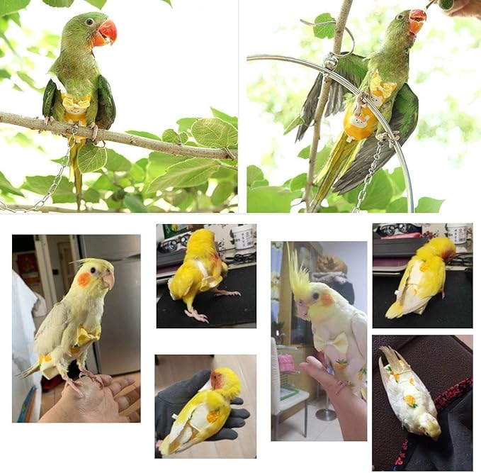 Diaper Flight Suite Liners for Birds Protective Nappy with Waterproof Inner Layer Cute Urine Wet Suit for Parrot Macaw African Budgies Conure Monk Parakeet (L,White)