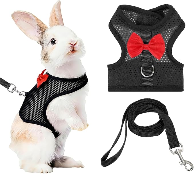 Rabbit Harness and Leash, Small Pet Cute Vest Harness Leash Soft Adjustable Buckle Breathable Mesh (S, Black) for Bunny Kitten Small Pig Puppies Camping Hiking Training
