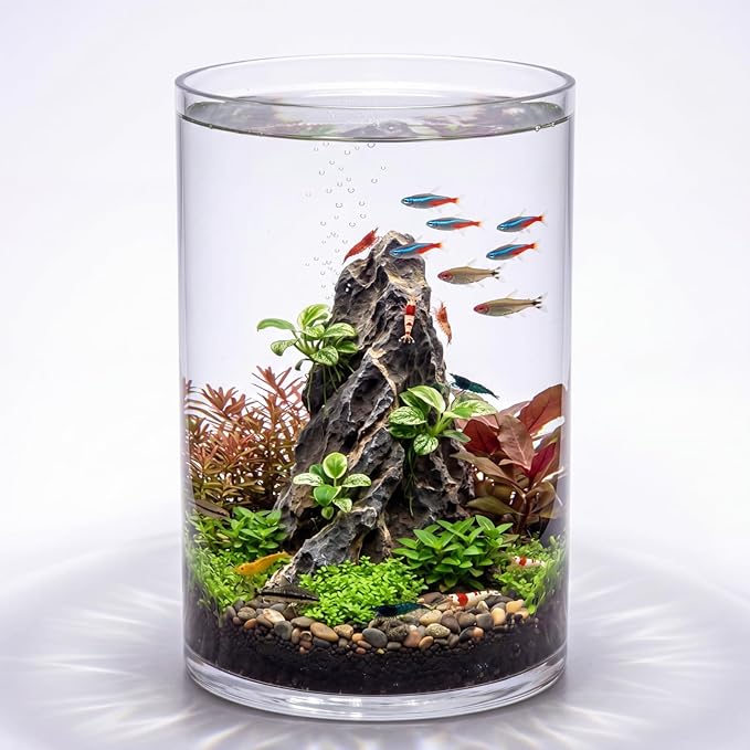 Maxdot 3.2 Gallon Cylindrical Glass Fish Tank Solid Base, 360° Full View Desktop Aquarium Starter, Easy to Maintain Small Microfauna for Betta Snails Shrimp Aquatic Planting and Small Plant Terrarium