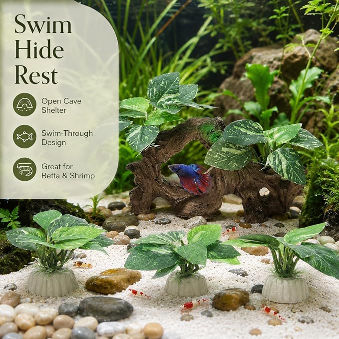 Garneck 4pcs Betta Fish Tank Decor: Driftwood Aquarium Ornament Hideout Cave Shelter Freshwater Realistic Resin Decoration Hiding Spaces Betta Shrimp Habitat Desktop Aquarium Landscaping