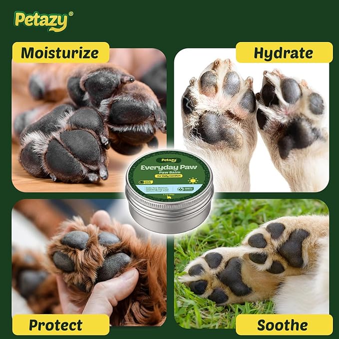 Petazy Dog Paw Balm – Everyday Formula for Daily Paw Moisturizing & Maintenance | Lick-Safe, Natural Hydration with Beeswax & Vitamin E | Paw & Nose Balm for Dogs & Cats, 2.1 oz