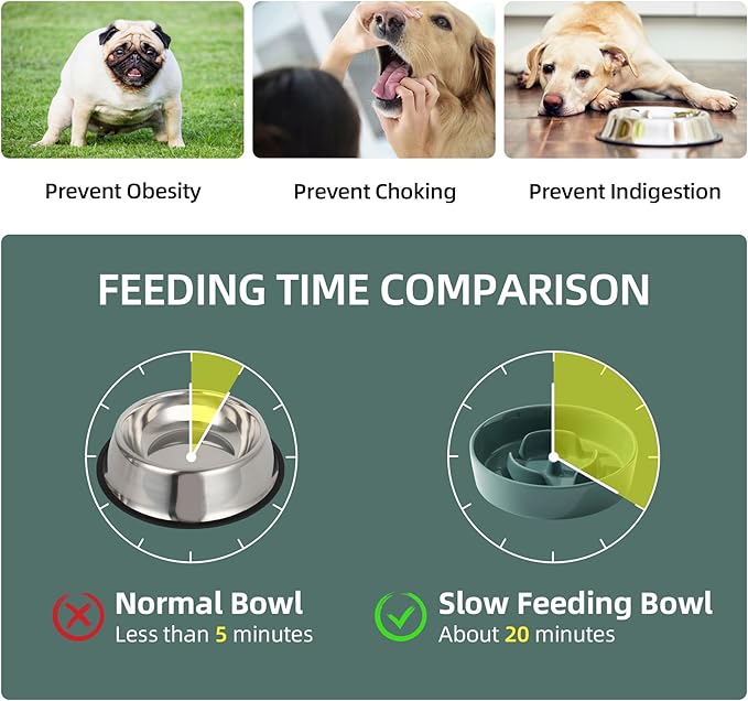 Havniva Ceramic 0.9 Cup Dog Bowl Slow Feeder for Small Dog, 6.1inch Pet Slow Feeder, Wet and Dry Food Dish, Stop Bloat, Preventing Choking(Single Bowl-Dark Green)