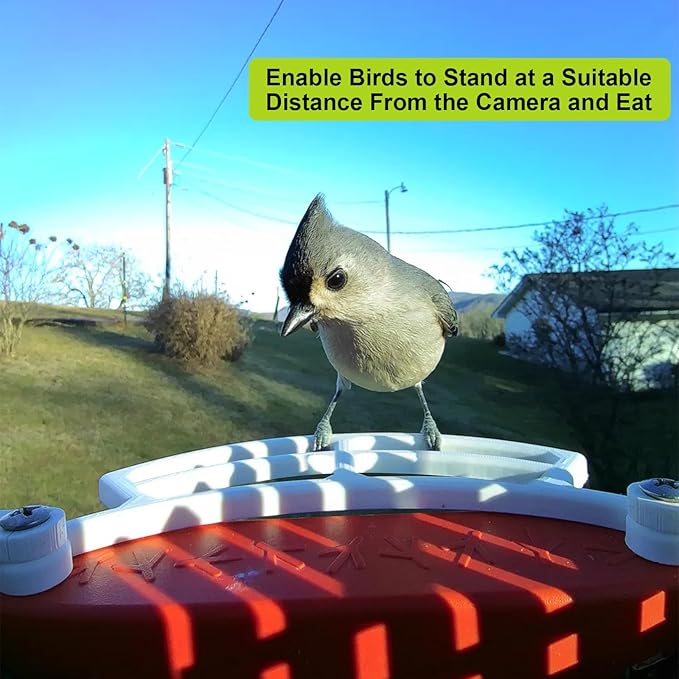 Wider Extension Perch Daily Add-on Accessories Easy Install Durable Stand Compatible with Bird Buddy