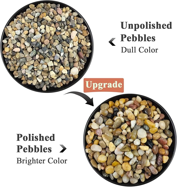 FANTIAN Pea Gravel for Landscaping, 10 lbs Aquarium Gravel Rocks, 1/4 Inch | Natural Polished Pebbles for Plants, Decorative Stones River Rocks for Succulent Soil Cover, Fish Tank, Vase, Outdoor Garden