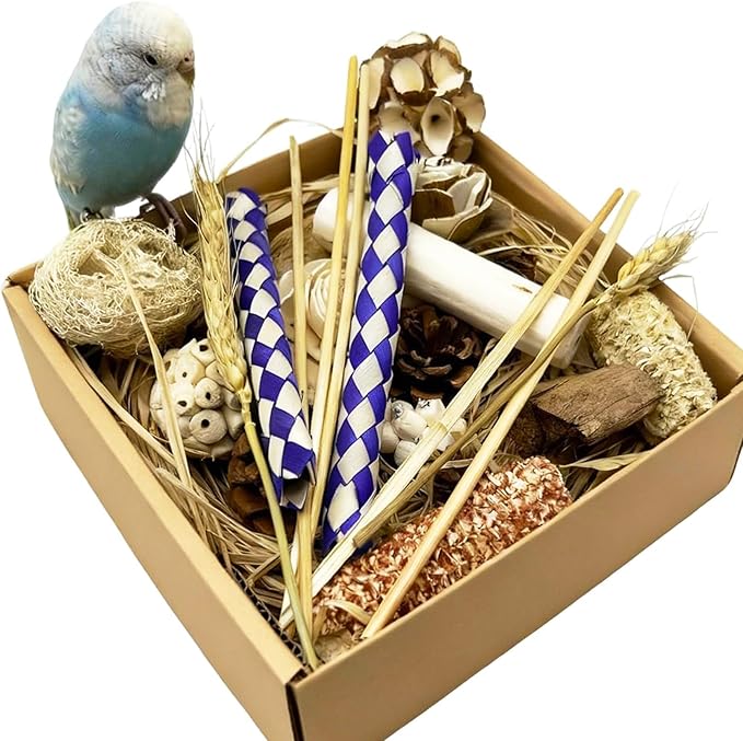 Bird Foraging Toys Parrot Chew Shredding Toys Bird Foraging Box for Parakeets Cockatiels Conures Lovebirds and Small to Medium Birds (Burlywood)