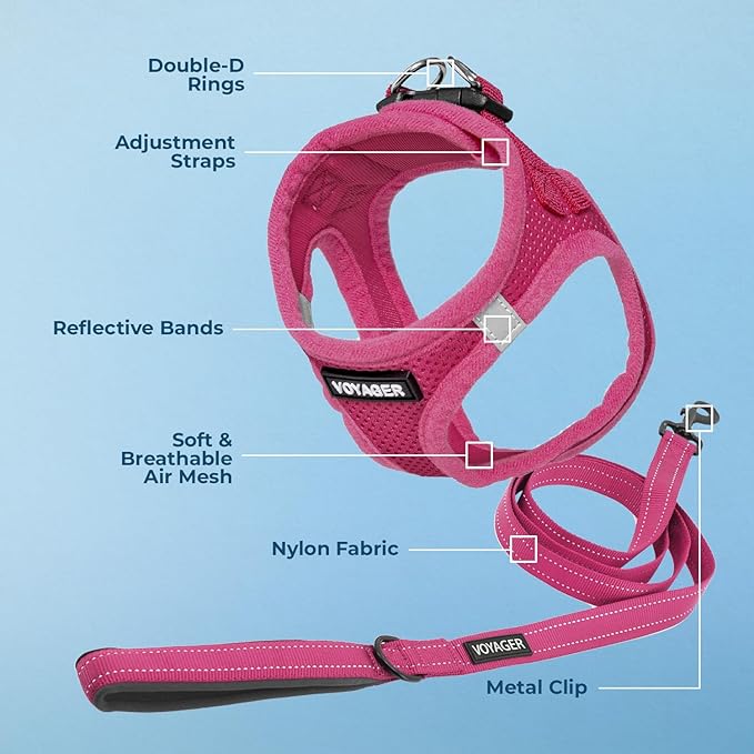 Best Pet Supplies Voyager Step-in Air All Weather Mesh Harness and Reflective Dog 5ft Leash Combo with Neoprene Handle, for Small, Medium and Large Breed Puppies - Set (Fuchsia), XXX-Small