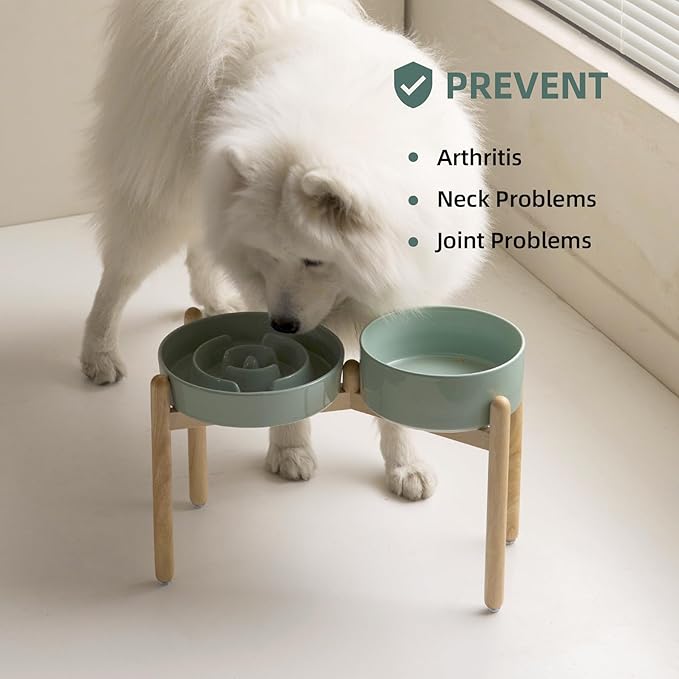 Havniva 3.2 Cup Ceramic Raised Slow Feeder Dog Bowl Set, Elevated 8.2inch Bowl and 9.5inch Puzzle Slow Food Dish with Wooden Stand for Large Dog, Anti-Gulping (2 x Light Green+ Stand)
