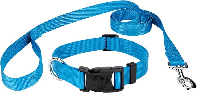 Country Brook Petz - Everyday Nylon Dog Collar and Leash - 10+ Cool Colors (3/8 Inch, Extra Small, Ice Blue)