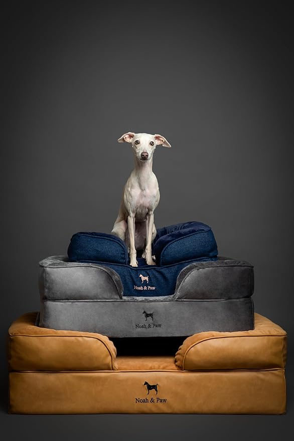 NOAH & PAW XL Dog Bed, 45x35x11 Inch, Orthopedic Large Dog Beds, Eggshell Memory Foam Infused with Cooling Gel, Inner Cover, Waterproof, Machine Washable (Velvet Sofa Collection)