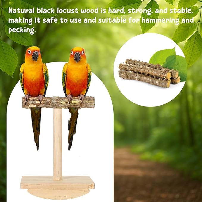Natural Wood Bird Perch Stand Training, Rocking Perch for Birds, Intelligence Puzzle Enrichment Toys for Parakeets, Parrot Perch Stand for Cockatiels, Budgies, Conures, Bird Playground Accessories